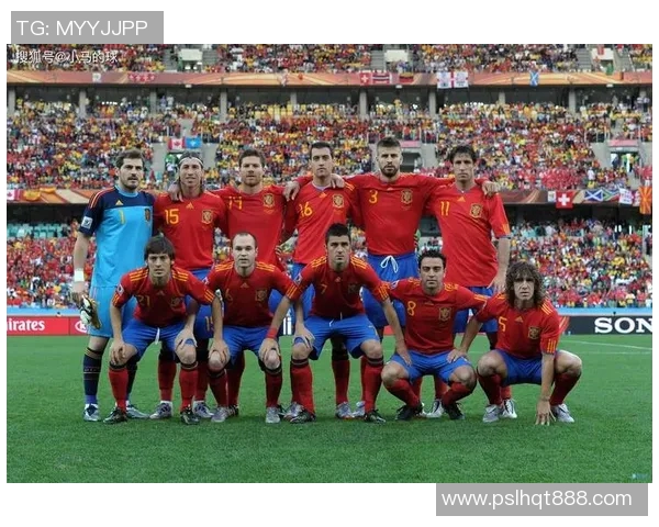 2008年欧洲杯土耳其对捷克切赫精彩表现回顾与分析